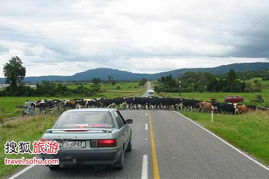 葡萄牙,自駕,注意事項