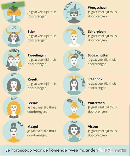 給荷蘭人報(bào)價(jià)注意事項(xiàng)