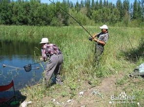 釣魚,注意事項(xiàng),兒童