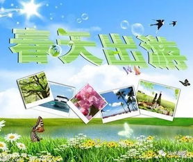 出游安全注意事項(xiàng)說明,幼兒出游安全注意事項(xiàng),班級(jí)活動(dòng)安全注意事項(xiàng)