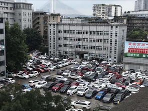 盤錦,衛(wèi)校,注意事項