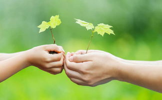 留置導(dǎo)尿術(shù)的注意事項(xiàng),男性導(dǎo)尿術(shù)的注意事項(xiàng),導(dǎo)尿術(shù)操作步驟及注意事項(xiàng)