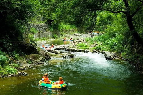 奉化西江漂流注意事項