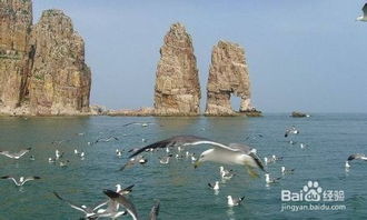 長(zhǎng)島,釣魚(yú),注意事項(xiàng)