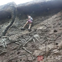 攀巖,注意事項(xiàng),項(xiàng)目