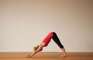 半下犬式注意事項