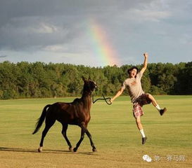 女孩學(xué)騎馬注意事項(xiàng)