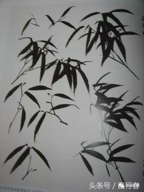 水墨畫竹子的畫法及注意事項