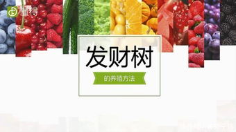 梔子花的養(yǎng)殖方法和注意事項有哪些,小葉梔子花的養(yǎng)殖方法和注意事項,水培梔子花的養(yǎng)殖方法和注意事項