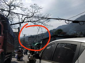 造紙廠檢修安全注意事項,造紙廠裁紙安全注意事項,實驗室安全注意事項