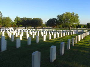 購買墓地合同注意事項補充條款寫什么呢?,購買新車合同注意事項,地下室購買合同注意事項