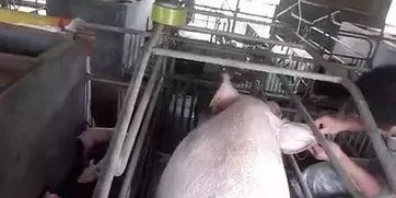 輸液補鉀注意事項