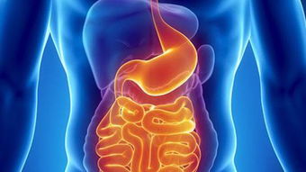 闌尾手術(shù)拆完線注意事項