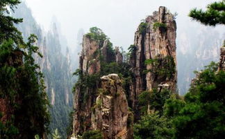 張家界,注意事項(xiàng),跟團(tuán)