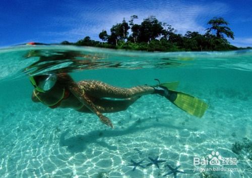 兒童浮潛注意事項,不會游泳浮潛注意事項,小東海浮潛注意事項