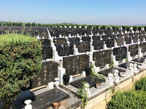 壽墓注意事項(xiàng)