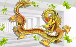 屬龍虎年注意事項,屬龍的二月二注意事項,2022年屬龍注意事項