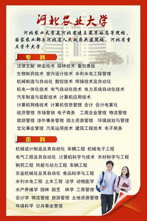 2016河北高考數(shù)學(xué)試卷,2016年河北高考,河北高考報(bào)名注意事項(xiàng)