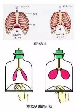 自然吸氣注意事項(xiàng)