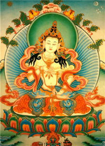 注意事項,不空,罥索咒經(jīng)