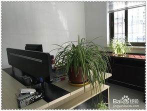 入住新家注意事項(xiàng)及禁忌,酒店入住注意事項(xiàng),孕婦入住新房注意事項(xiàng)