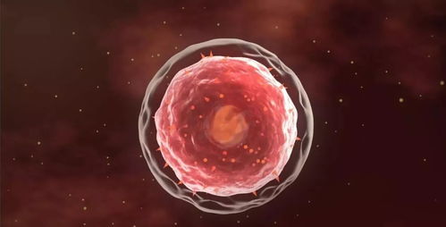 注意事項(xiàng),細(xì)胞