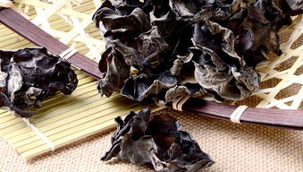 采摘,木耳,注意事項(xiàng)