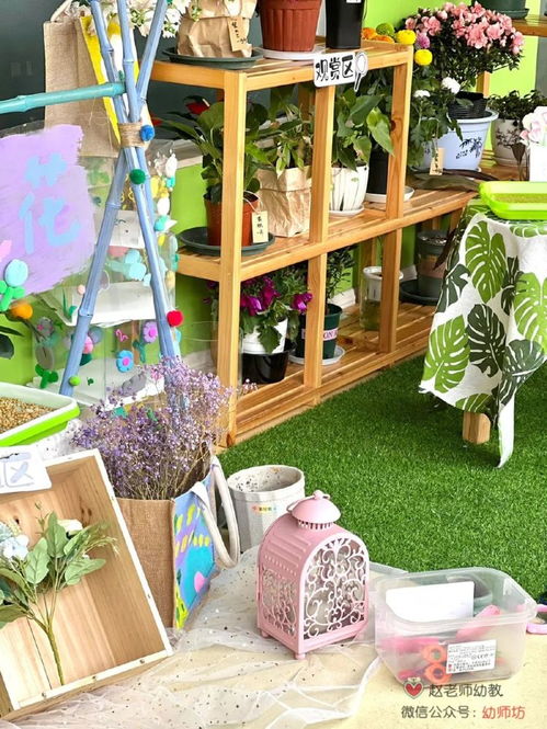 幼兒園圖書角注意事項(xiàng),幼兒園植物角注意事項(xiàng),自然角的注意事項(xiàng)