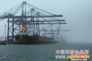 停航,船舶,注意事項(xiàng)