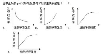 果蔬呼吸強(qiáng)度測(cè)定靜置法注意事項(xiàng),果蔬呼吸強(qiáng)度測(cè)定實(shí)驗(yàn)注意事項(xiàng),果蔬呼吸強(qiáng)度測(cè)定實(shí)驗(yàn)報(bào)告注意事項(xiàng)