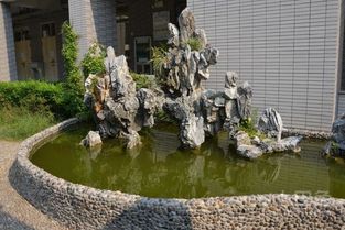 假山,要注意,事項,設(shè)計