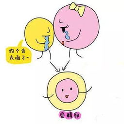 精子著床期間注意事項(xiàng)