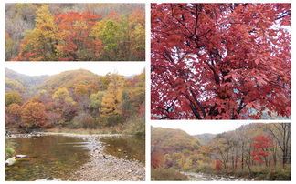 去長白山的注意事項(xiàng),冬季去長白山注意事項(xiàng),第一次去長白山的注意事項(xiàng)