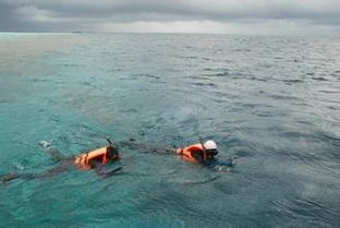 海邊游泳要注意事項