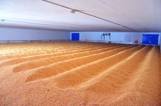 新建糧食倉庫注意事項