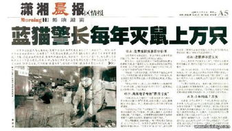 殺蟲,注意事項,酒店