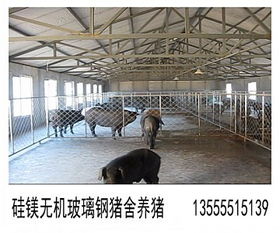 豬圈,注意事項,建設(shè)