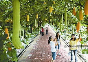 農(nóng)業(yè)基地旅游安全衛(wèi)生注意事項