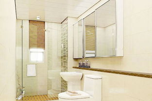 衛(wèi)生間的裝修注意事項,衛(wèi)生間潔具裝修效果圖,浴室和衛(wèi)生間安全裝修注意事項有哪些