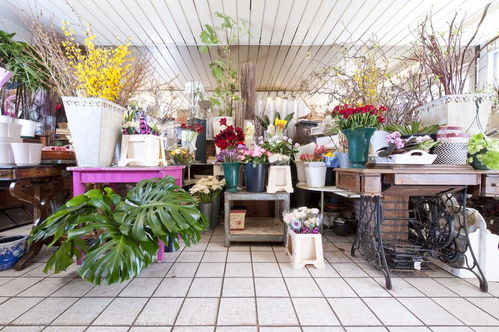 經(jīng)營花店選址有哪些注意事項(xiàng)