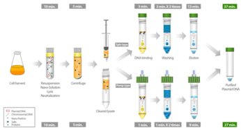 小提質(zhì)粒注意事項(xiàng)