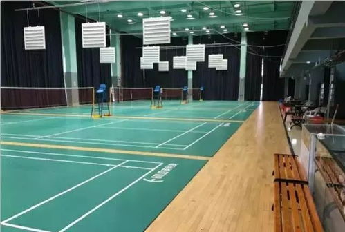 打乒乓球的注意事項(xiàng),乒乓球發(fā)球注意事項(xiàng),乒乓球室注意事項(xiàng)