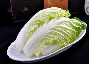 大白菜,注意事項(xiàng)