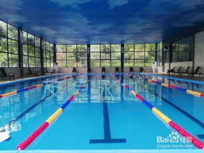 泳池,注意事項,清潔