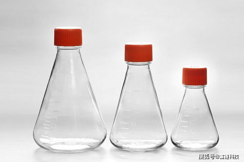 細胞培養(yǎng)的步驟以及注意事項,細胞培養(yǎng)無菌操作的注意事項,mdck細胞培養(yǎng)注意事項