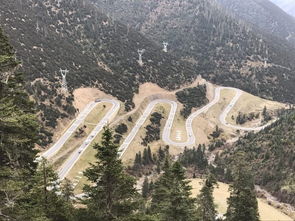 拉薩,新疆,自駕游,注意事項(xiàng)