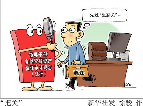 離任,應(yīng)注意,審計(jì),事項(xiàng)