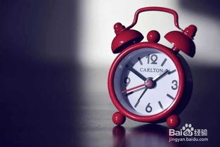 總公司領(lǐng)導(dǎo)來(lái)視察注意事項(xiàng)