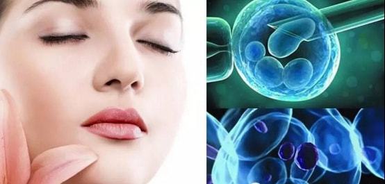 干細(xì)胞去皺后注意事項