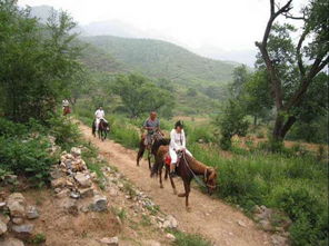 去野三坡的注意事項(xiàng)